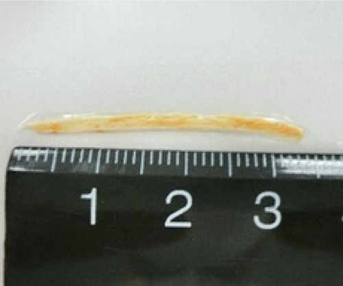 とう立ちしたにんじん