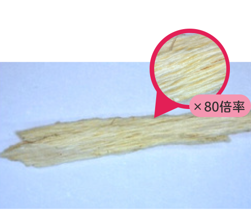 光学顕微鏡×15倍率